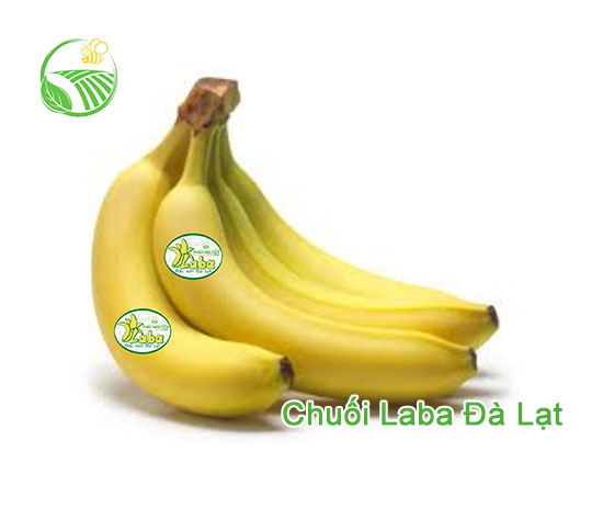 Laba Banana