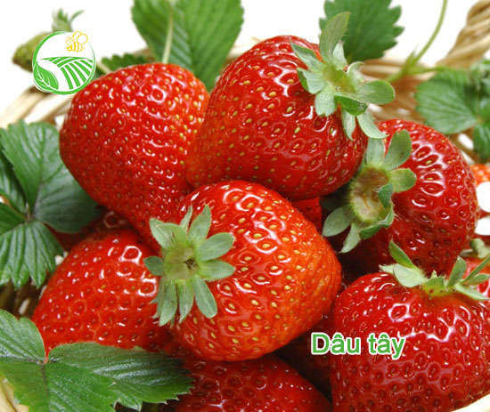 Dâu Tây Đà Lạt