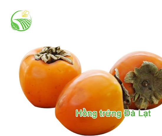 Persimmon